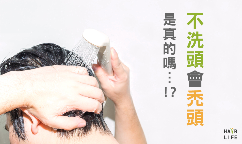 不洗頭就會禿頭！真的假的！？