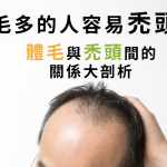 體毛多的人容易禿頭！？體毛與禿頭間的關係大剖析