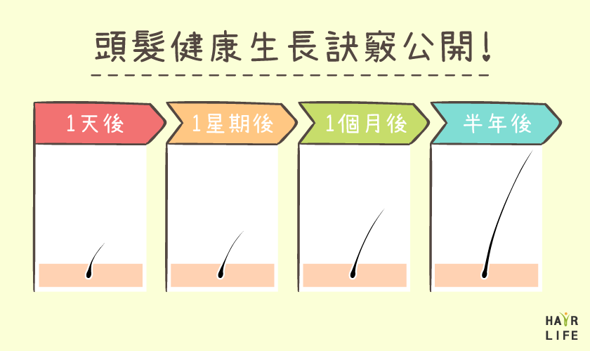 頭皮及頭髮健康生長訣竅
