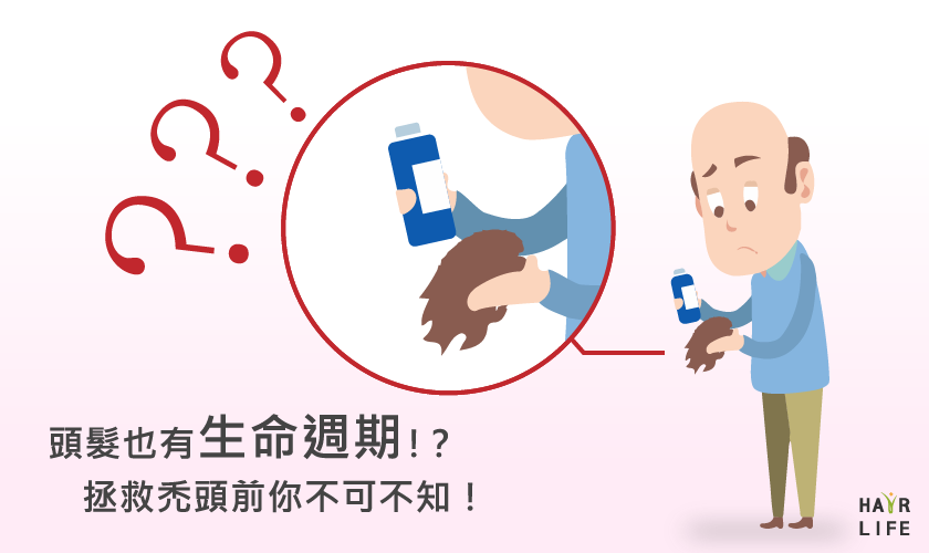 頭髮也有生命週期！？拯救禿頭前你不可不知