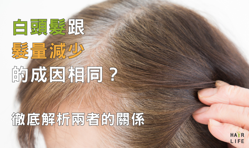 長白髮跟髮量減少出自相同原因？徹底解析兩者關聯性