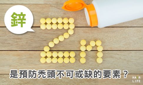 富含鋅的食物能改善掉髮？鋅是預防禿頭不可或缺的要素？