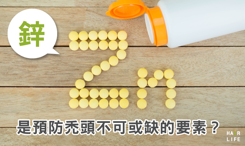 富含鋅的食物能改善掉髮？鋅是預防禿頭不可或缺的要素？