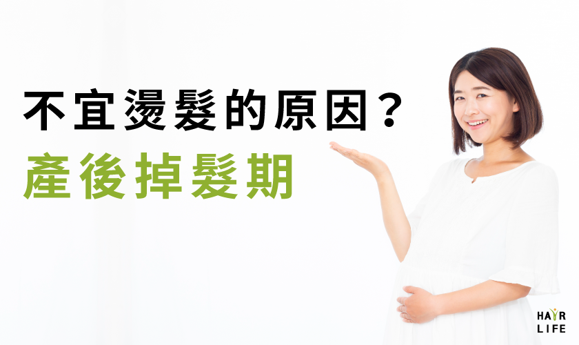 產後掉髮期不宜燙髮的原因？