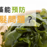 海藻能預防掉髮問題？徹底解析飲食對掉髮的影響