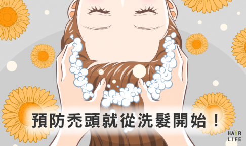 「防禿6+1招」預防禿頭就從洗髮開始！