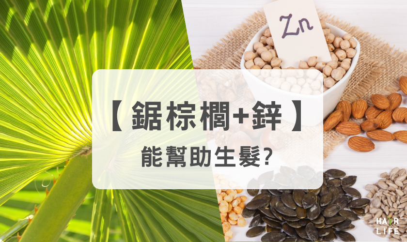 同時攝取鋸棕櫚和鋅能幫助生髮!?