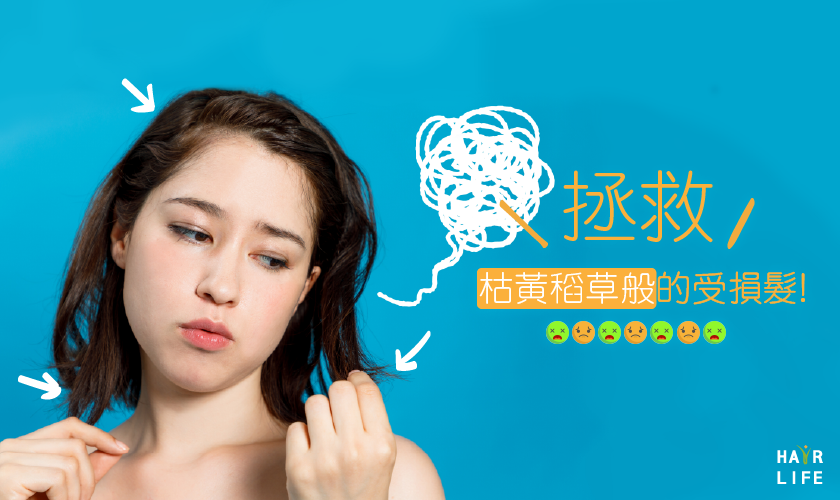 拯救枯黃稻草般的受損髮！該用什麼洗髮精？