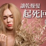 讓乾燥受損髮起死回生《護髮素推薦及護髮秘訣》