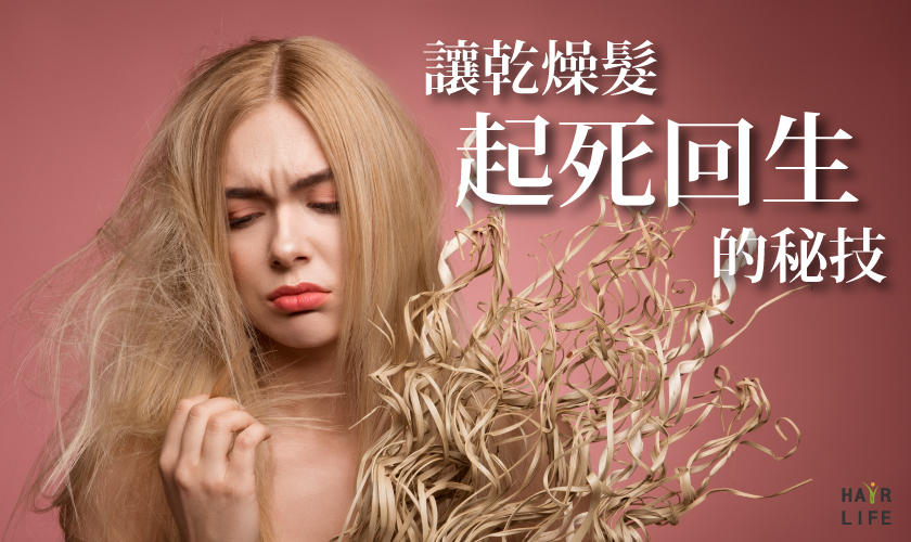 讓乾燥受損髮起死回生《護髮素推薦及護髮秘訣》