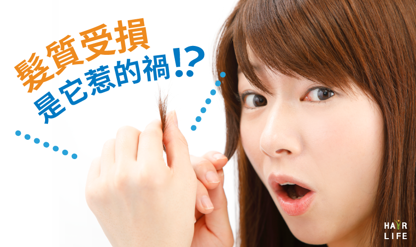 頭髮不僅分岔還斷裂！帶你一窺髮質受損的前因後果